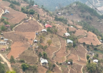 Steep slopes turn productive in Thangrong